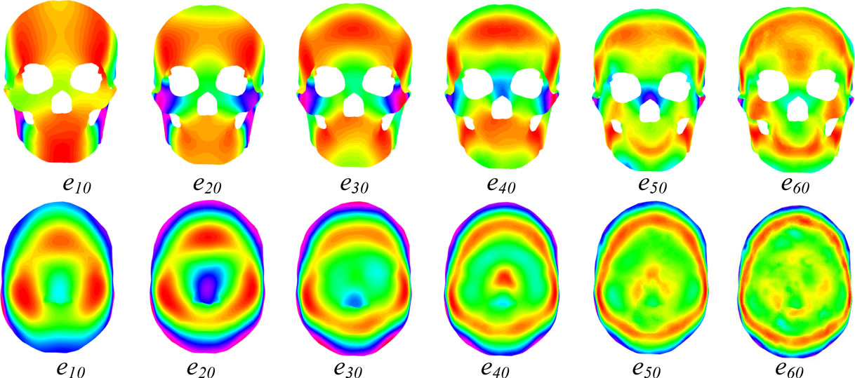 3D skull and face similarity measurements based on a harmonic wave kernel signature